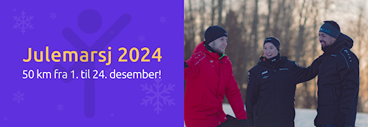 Image for Julemarsj 2024